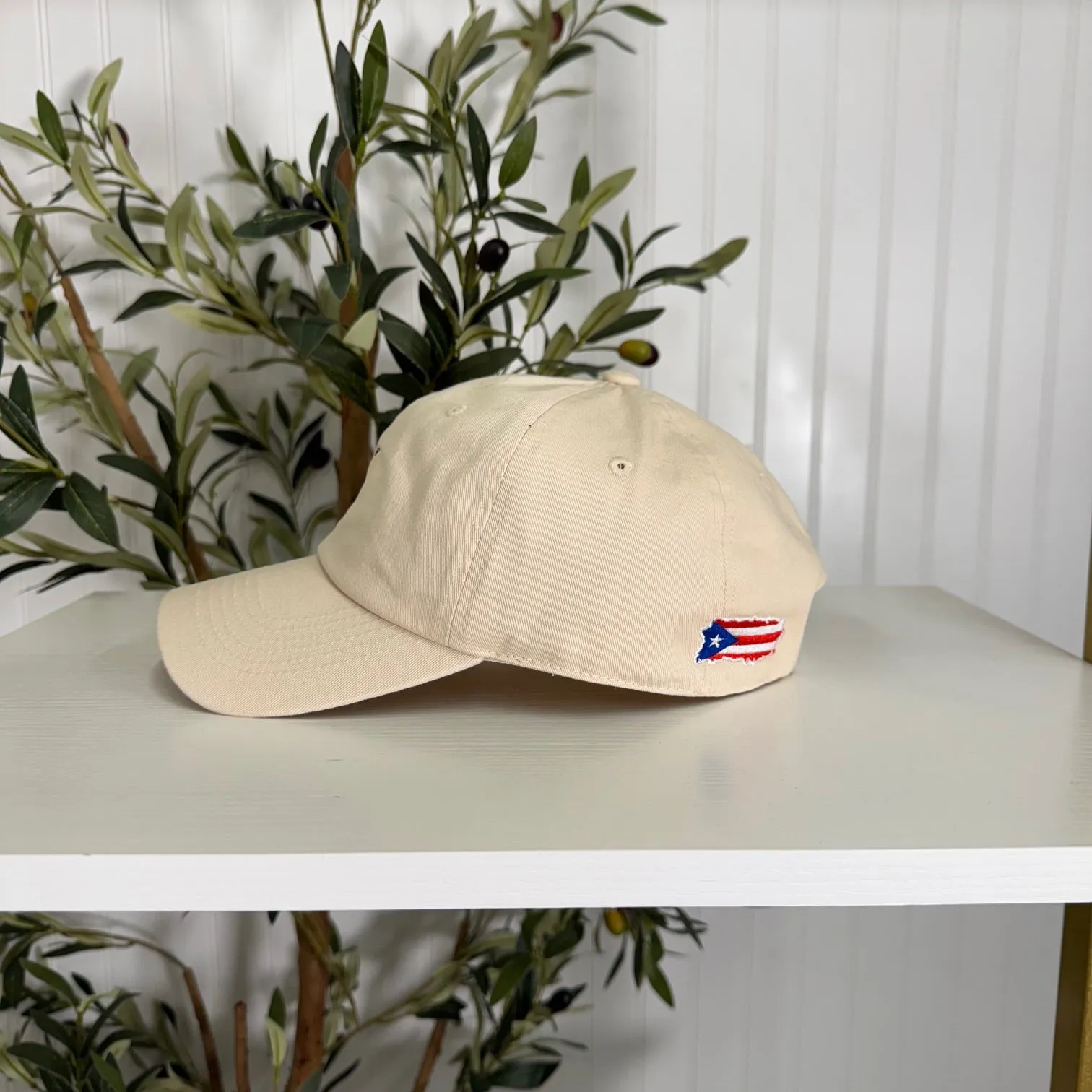 Puerto Rico Coco Embroidered Baseball Hat 🇵🇷🥥